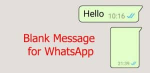 Cara Membuat Info WhatsApp Kosong tanpa aplikasi