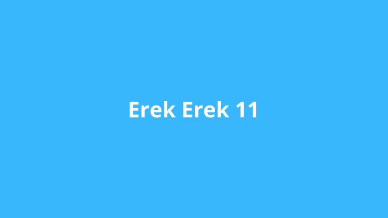 erek erek 11